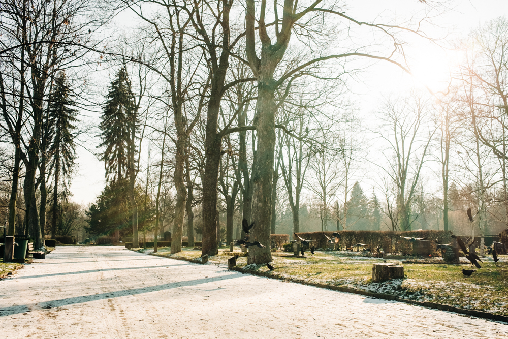 Neuer Annenfriedhof Dresden 1 - 7 Tage ohne Handy: Was ich daraus gelernt habe