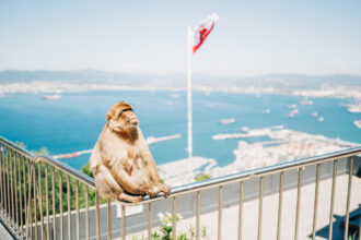 Affen Felsen von Gibraltar 330x220 - In Gibraltar sind die Affen los: Zu Besuch auf dem Affenfelsen