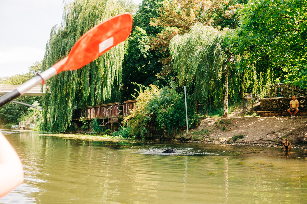 Leipzig Kanu fahren Kajak Tour leihen Karl Heine Kanal 22