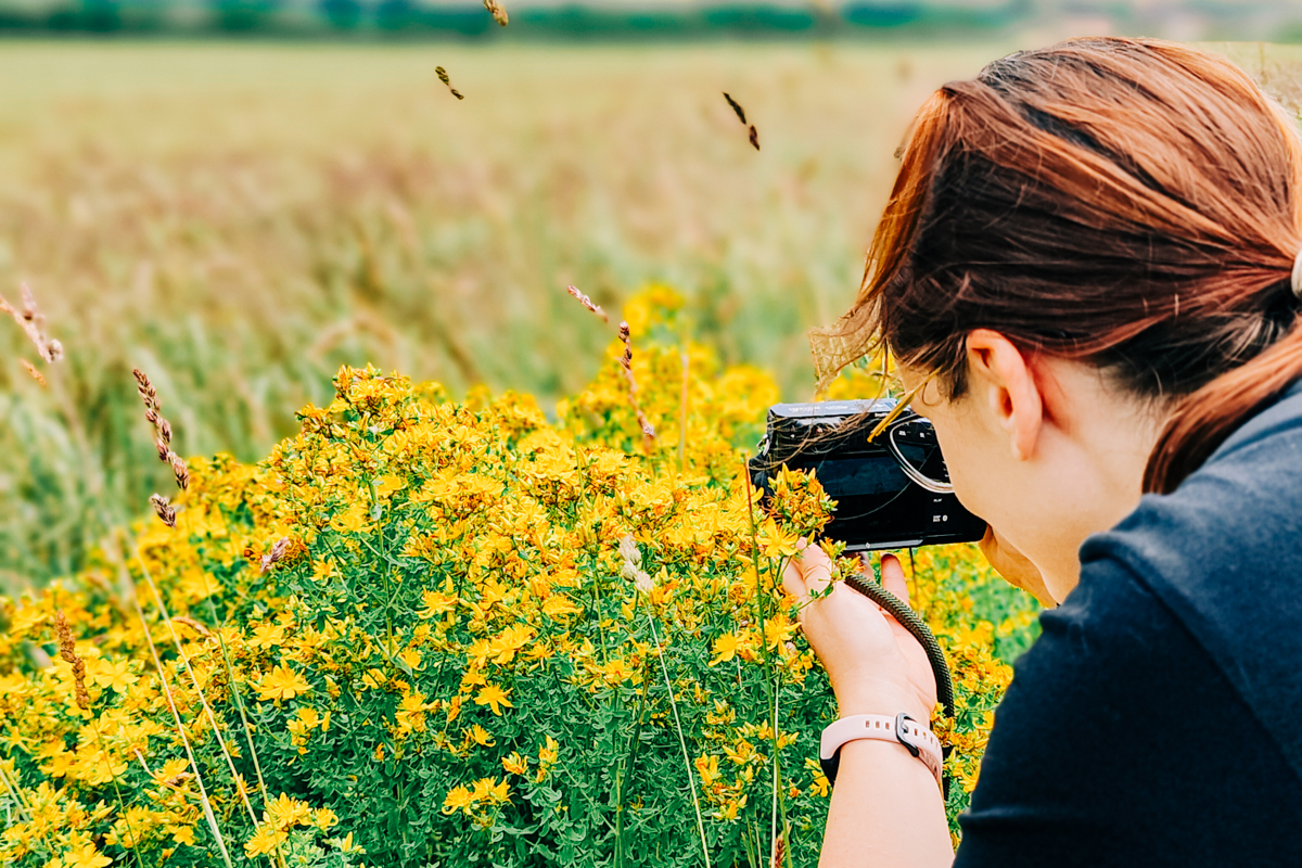 Test Fujifilm X100VI Makro Blumen